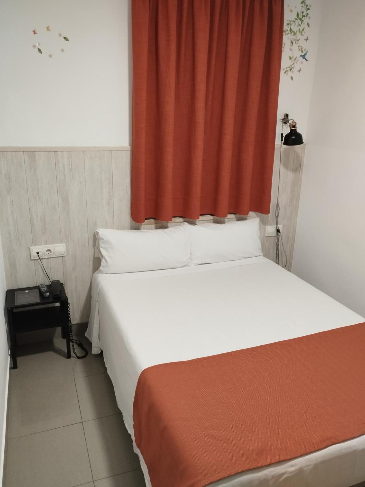 Economy Single Room