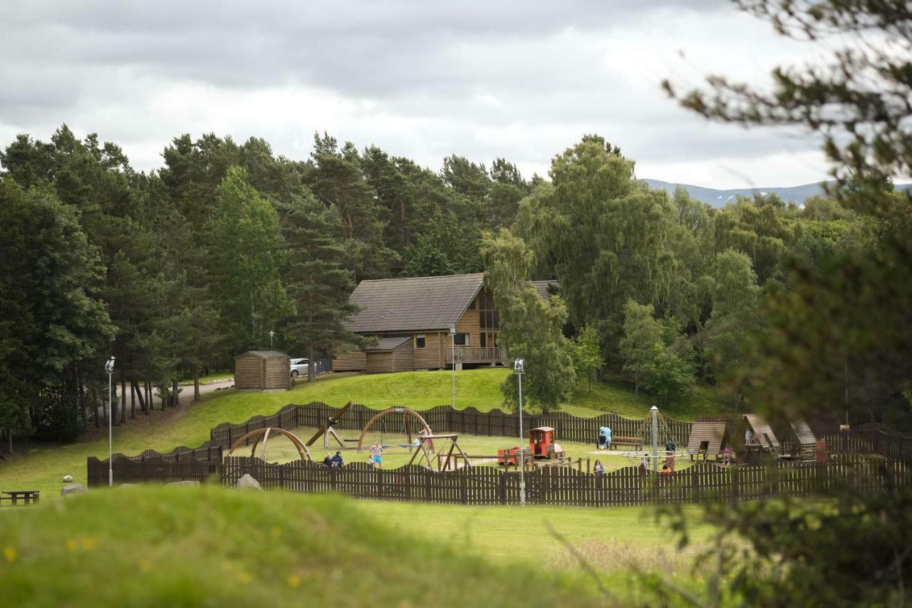 3 Bed Woodland Lodge