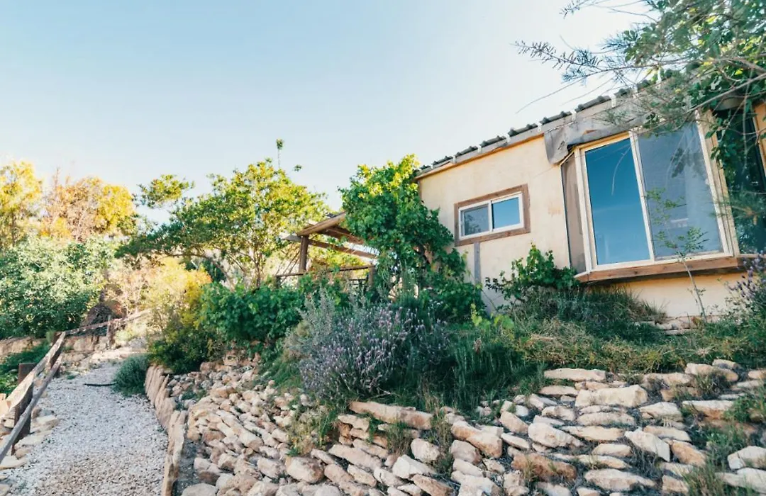 Alpaca Farm - חוות האלפקות-1