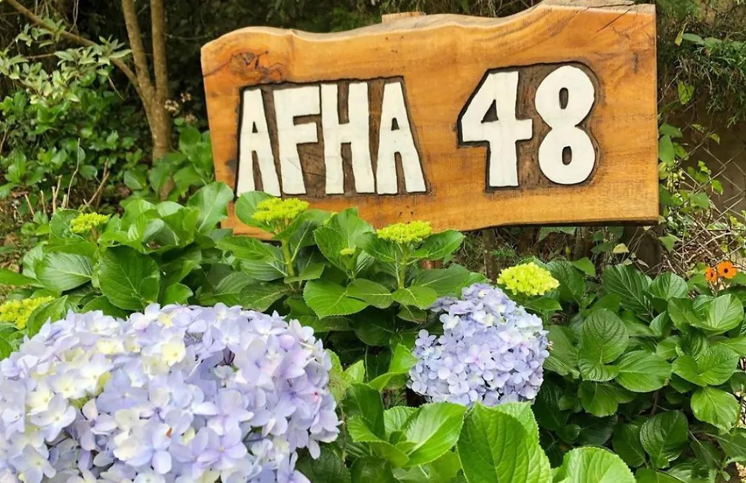 Afha 48-1