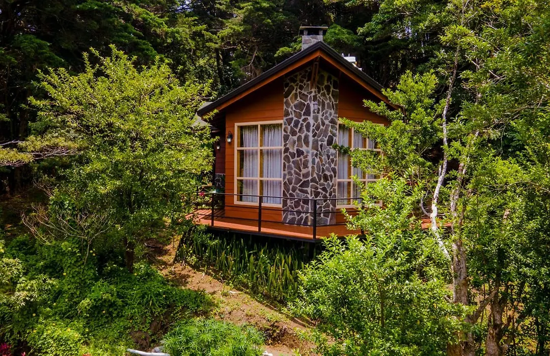 Los Pinos Cabins&Reserve-1