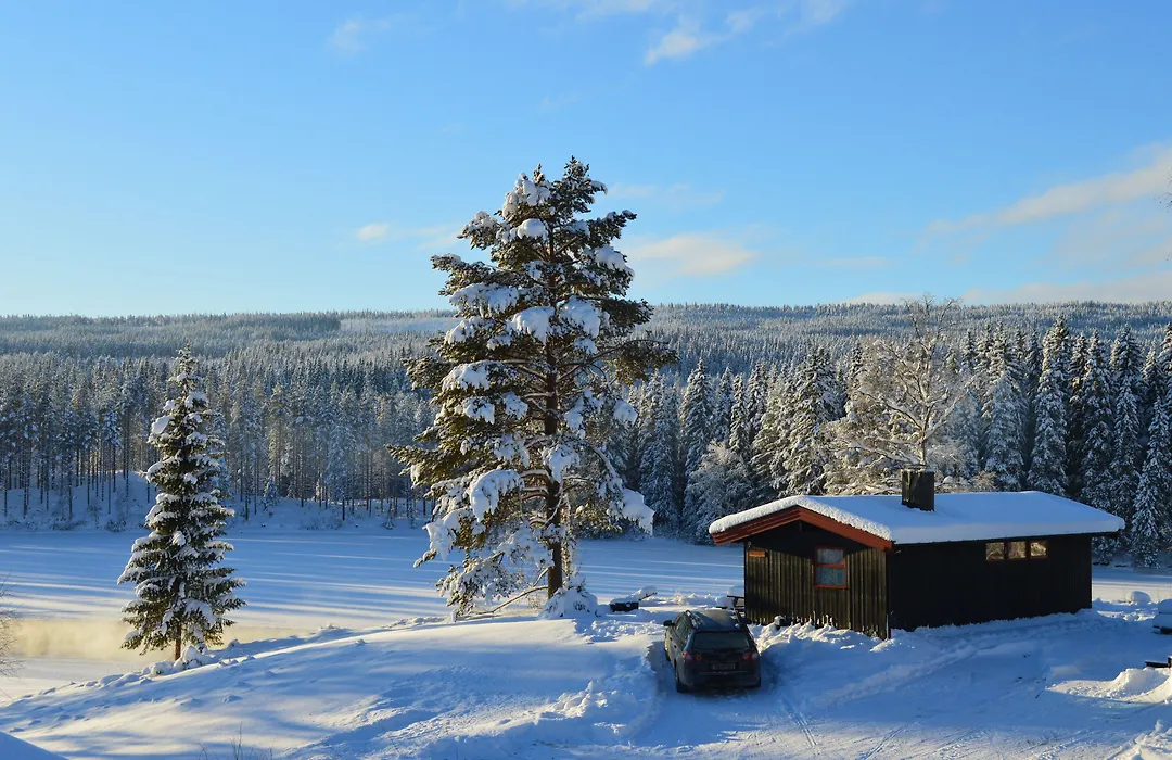 Trysil Hyttegrend-1