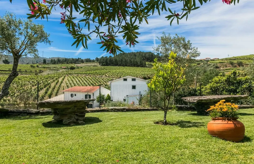 Quinta Da Padrela Winery House-1