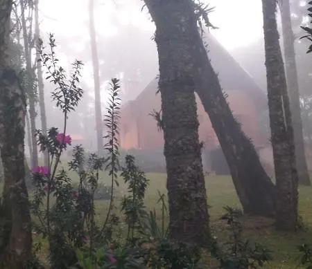 Bosque das Araucárias-2