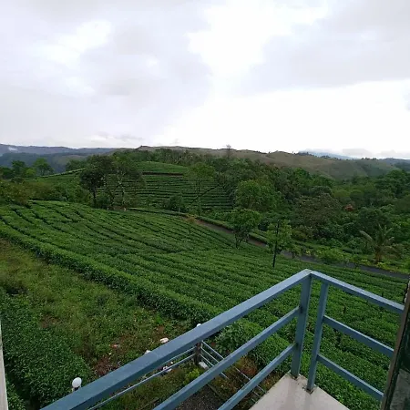 Vagamon Green Haven Resort-3