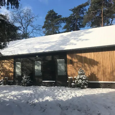Forrest Suites-2