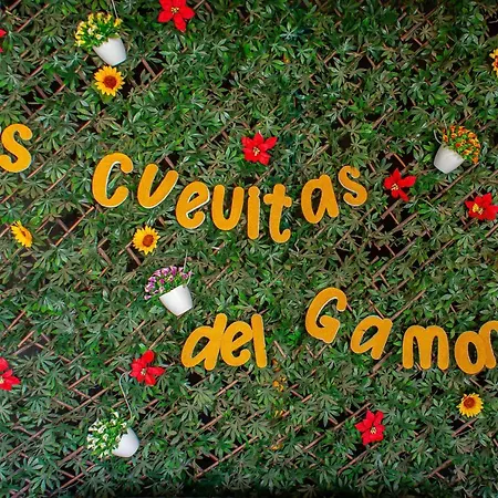 Las Cuevitas del Gamonal-3