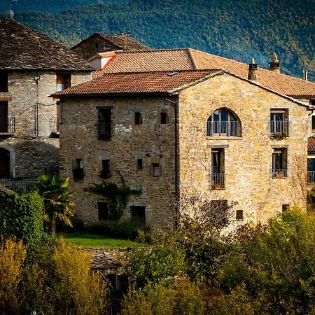 O Chardinet D'A Formiga-3