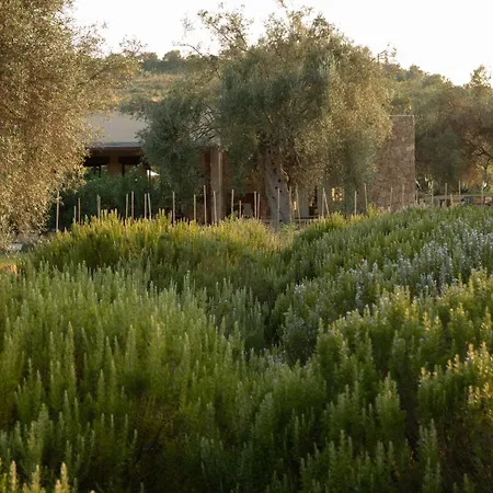 Iuta Farm-3