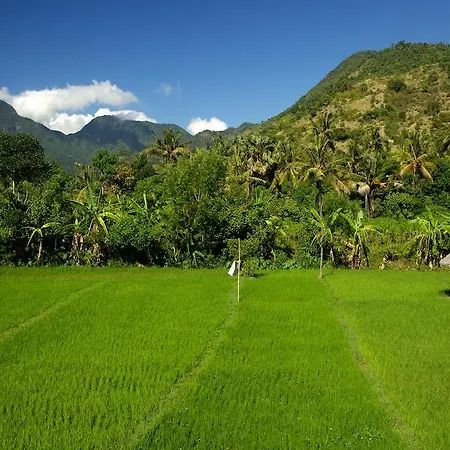 The Kampung-2