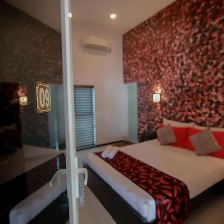 D Plus B&B Negombo-2