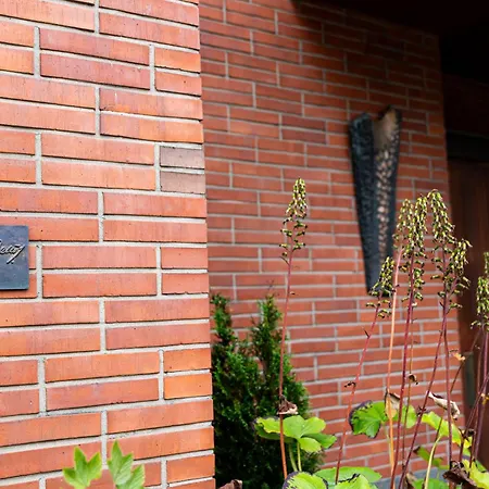 Maison Aho By Alvar Aalto-3