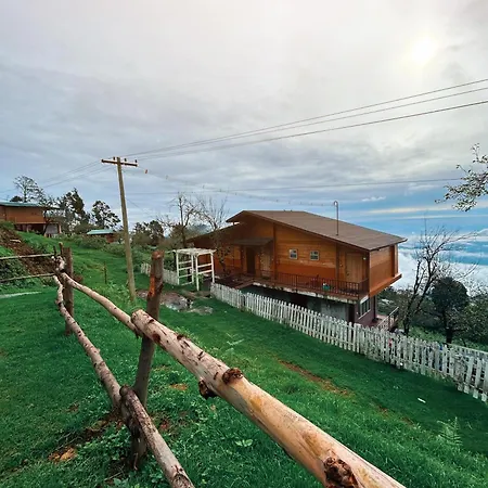 Praveen'S Wood House Kodaikanal Vattakanal-3