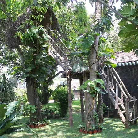 Villa Shade-3