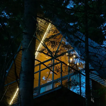 Small Forest-3