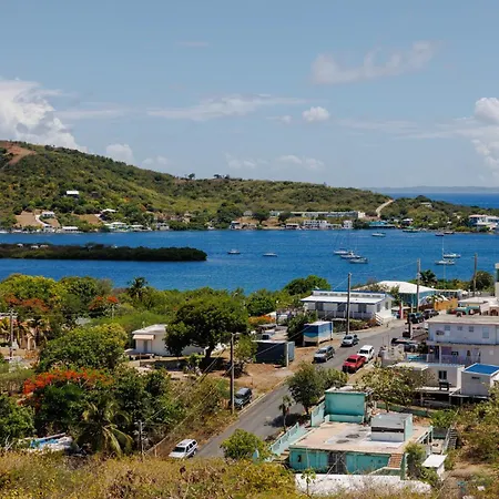 Ulala Culebra-2