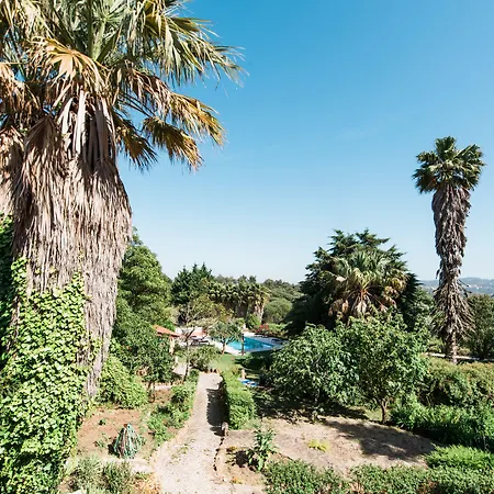 Quinta Verde Sintra - Casa de Campo-3