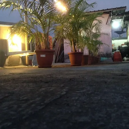 Woodpecker Lodge, Kuching-3