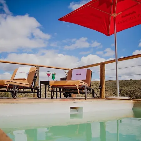 Aloe Ridge-3