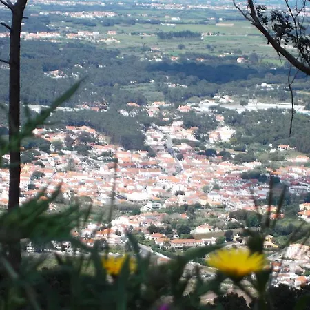 Casa Do Cha-2