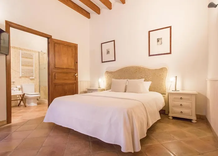 Hotel: Petit Hotel Alaro