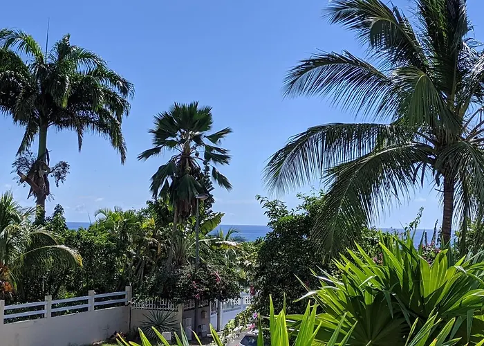 Hôtel accueillant les animaux: Villa Rosa Karibella