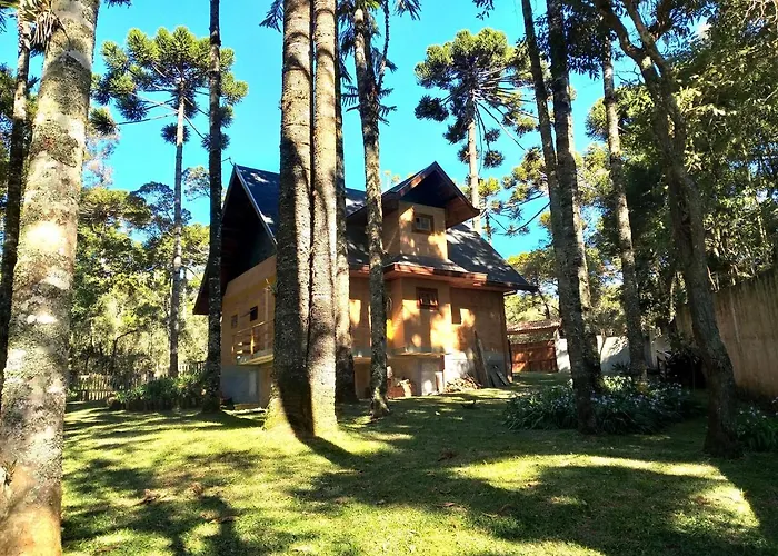 Bosque das Araucárias
