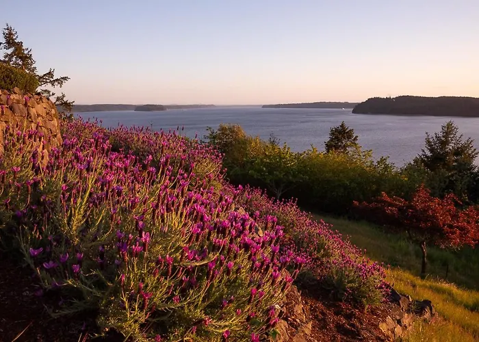 180º Puget Sound View