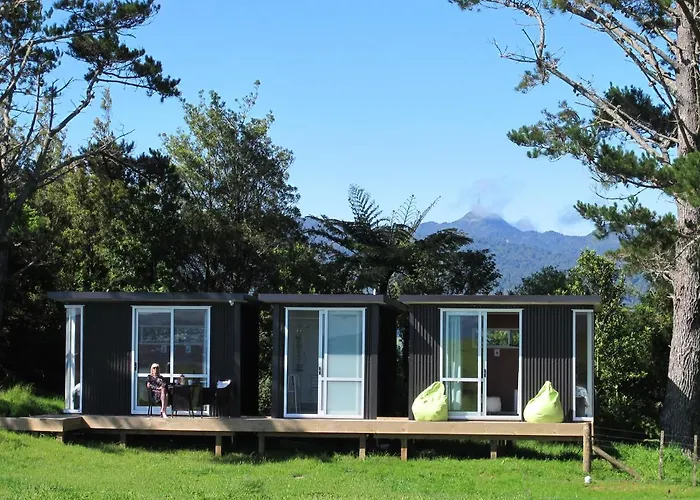 Waihi Gold Alpacas 3 Or 4 People