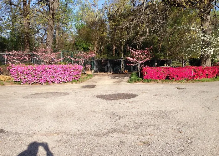 Dogwood Springs Lodgings