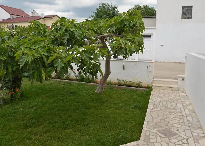 Guesthouse Ana-Maria