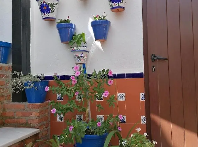 Patio Rociero