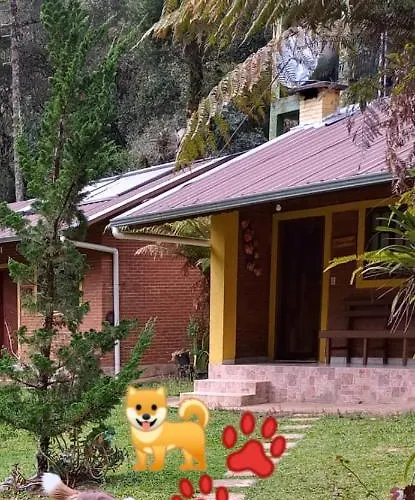 Cháles Terra Nativa