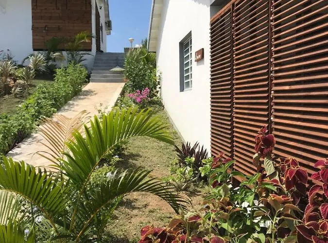 Les Aloes