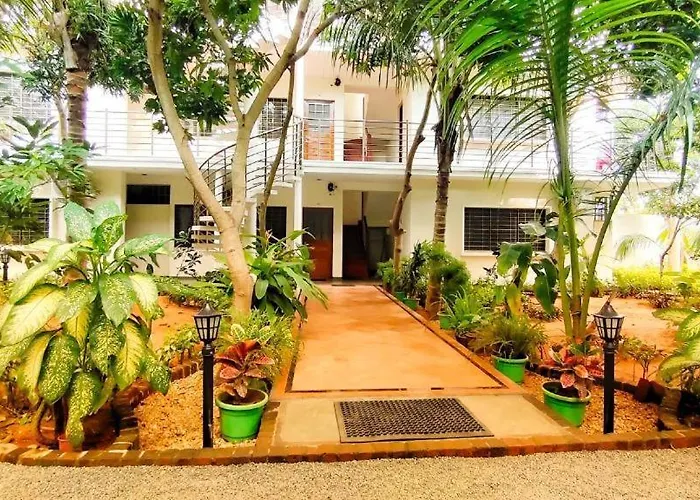 The Canopy Guest House
