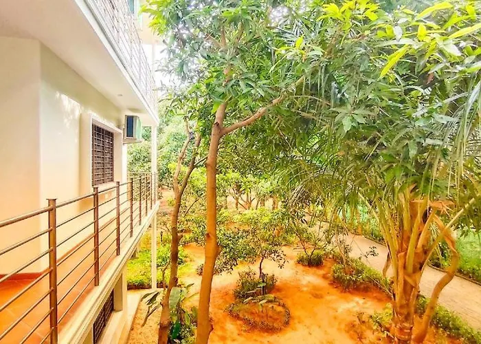 The Canopy Guest House