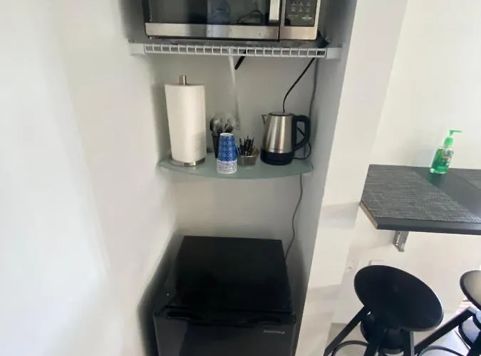 Lyz Miami