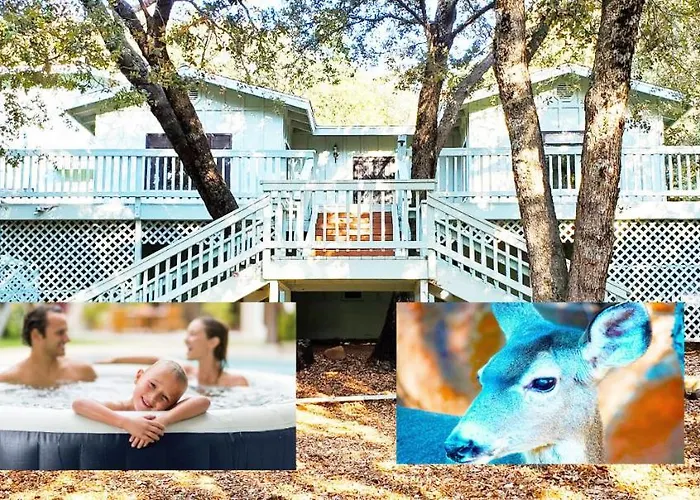 Pine Hills Cabin In Julian