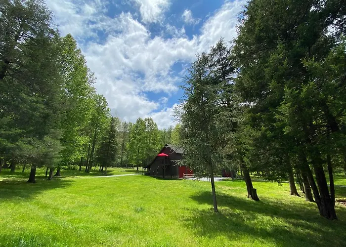Shadow Mountain Escape Cabin Rentals
