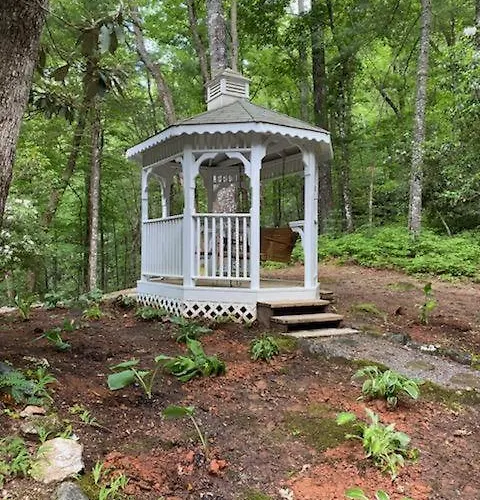 Lolly'S Treehouse