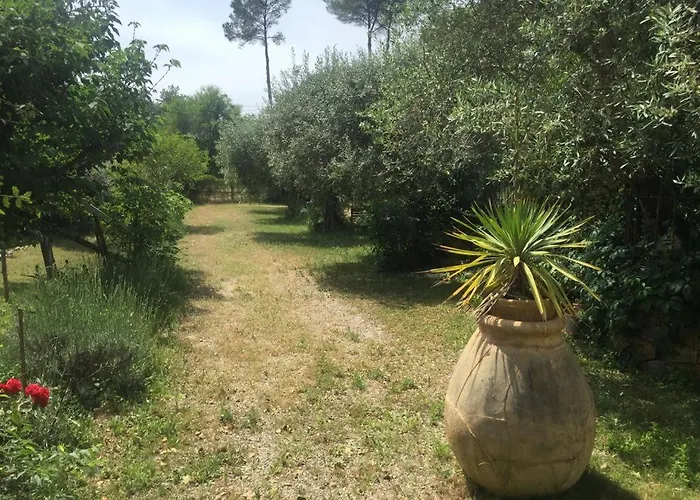 Le Mas Du Sud