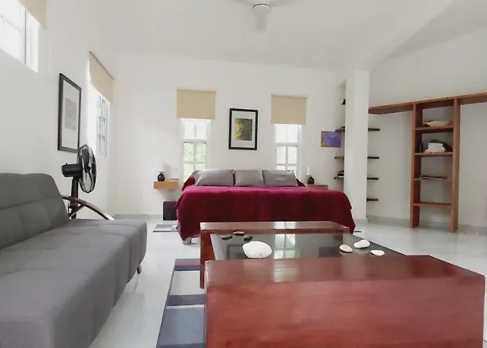 New! Casa Xola Cenote And Fauna Loft