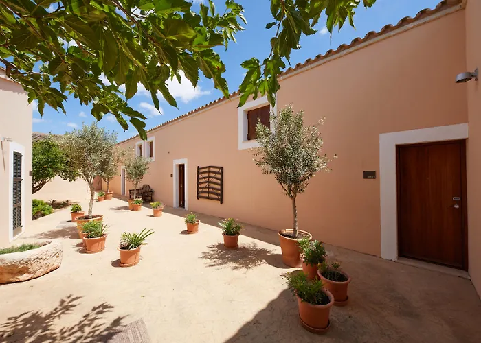 Zoetry Mallorca Wellness & Spa (Adults Only)