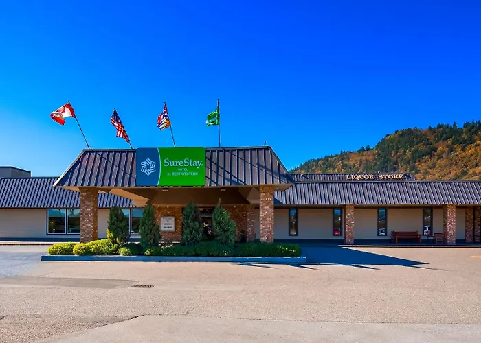 Best Western Premier Ashton Suites - Willowbrook