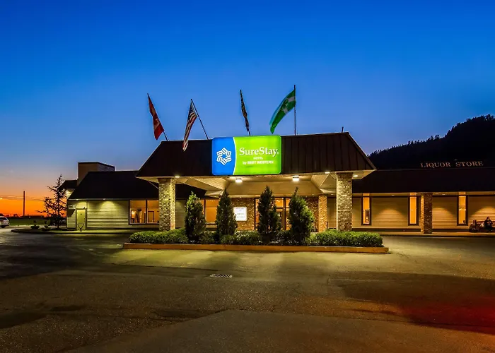 Best Western Premier Ashton Suites - Willowbrook