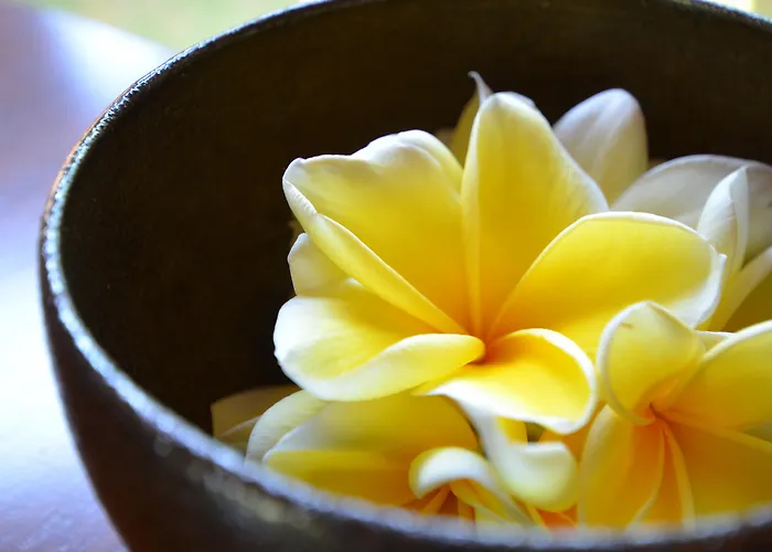 Self catering: The Ulin Villas And Spa - By Karaniya Experience - Chse Certified