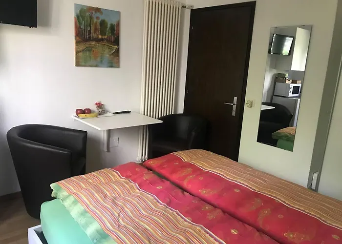 Locarno: Camera Indipendente In Zona Residenziale