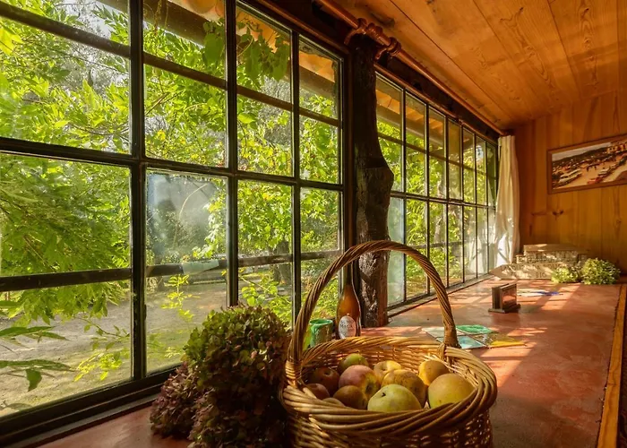 Da Quinta Lavoura Da Bouça - Fruta Bio Cabana