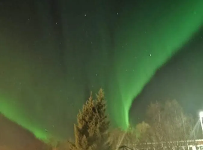Aurora Rooms In Shared Hause Nr3 We Are Doing Northen Lights Trip, Reaindear Trip And Sommaroy Fjord Trips