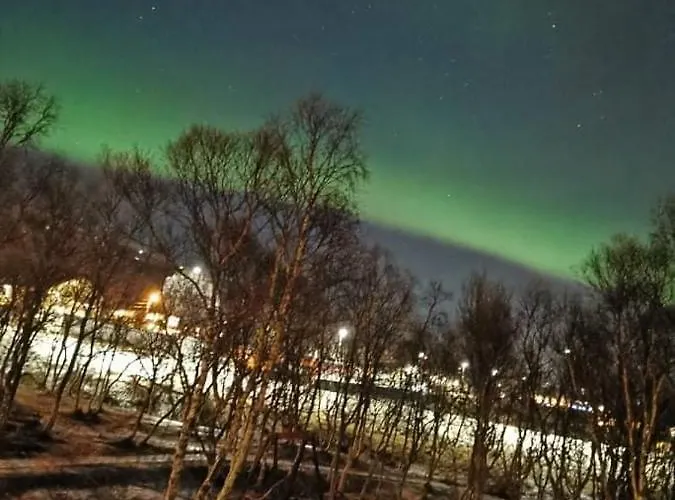 Aurora Rooms In Shared Hause Nr3 We Are Doing Northen Lights Trip, Reaindear Trip And Sommaroy Fjord Trips